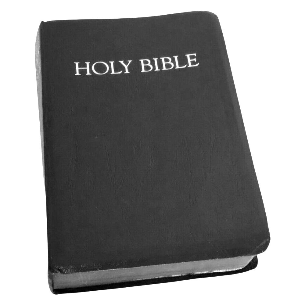 Children's Bible The New Revised‎ Standard Verson Red Leather with Maps